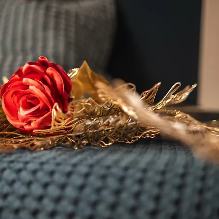 招待所 Corvetto 4*