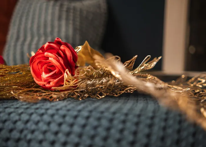 Gasthuis Corvetto 4*